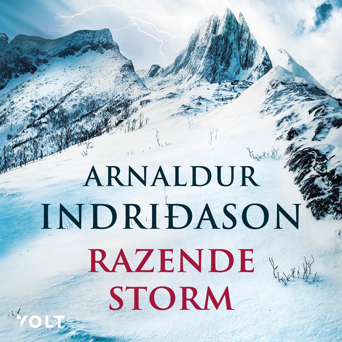 Omslag van Razende storm