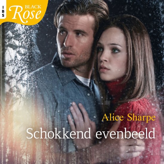 Schokkend evenbeeld - cover