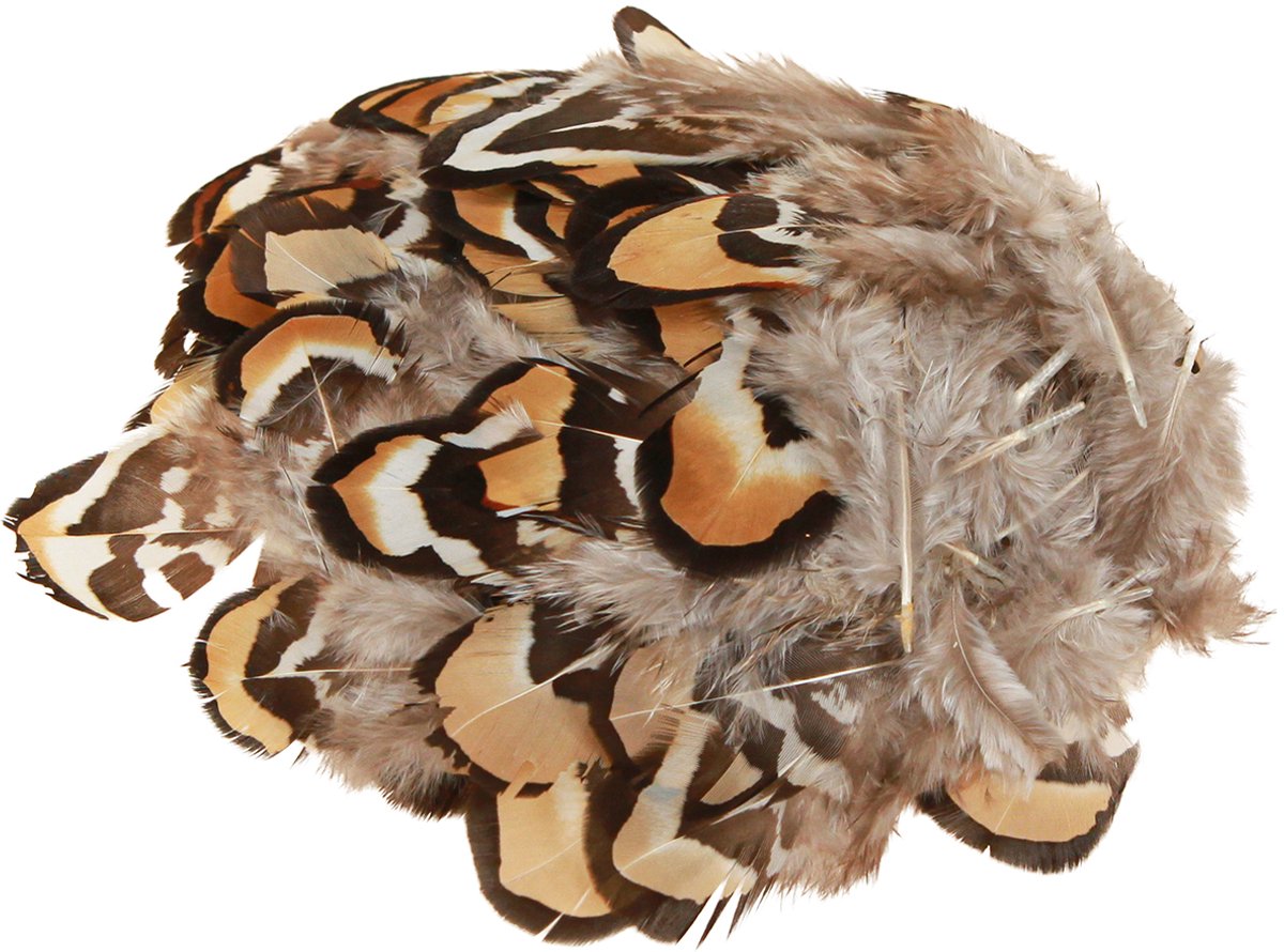 Echte vogelveren decoratieve veren gestreept 3-4cm 60 st, 60 Stück