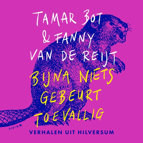 Bijna niets gebeurt toevallig - cover