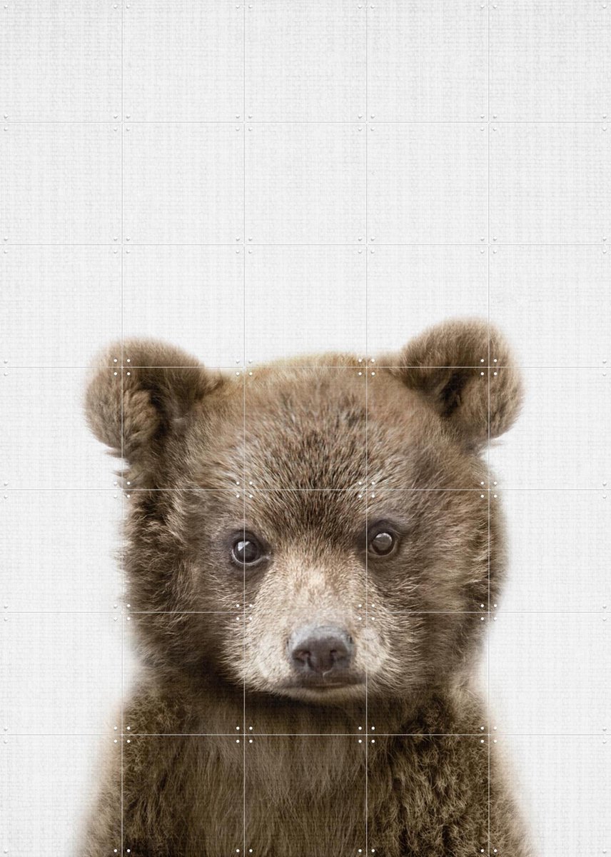 IXXI Print 353 Bear, Lila + Lola - 100 x 140 cm - Gratis ophangtool - Grote wanddecoratie en posters - Realisme, Fotografie, Babykamer, Woonkamer