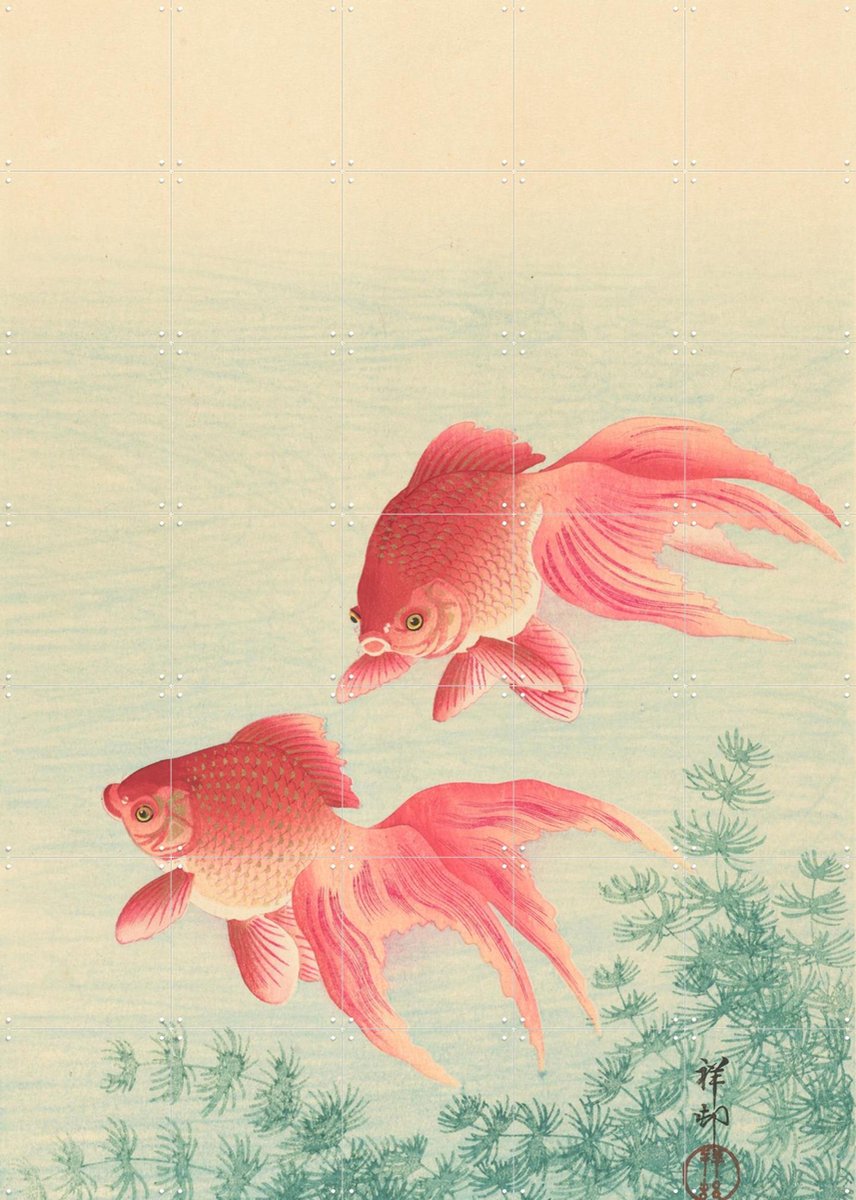 IXXI Twee goudvissen, Ohara Koson & Rijksmuseum - 100 x 140 cm - Gratis ophangtool - Grote wanddecoratie en posters - Houtsnede, Kleurrijk, Ukiyo-e
