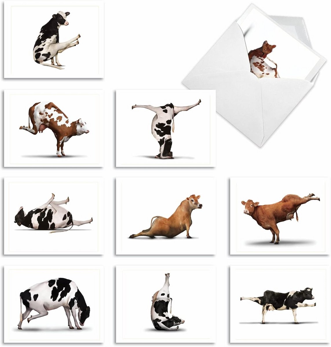 10 Grote, Blanco Kaarten met Dieren en Yoga Figuren - Diverse Thema's