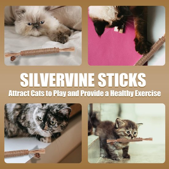 Collage van vier katten met zilverstruikspeeltjes: zacht pluizige kat, pootjes die spelen, grijze kat met speelgoed in bek, kitten met speelgoed in bek.