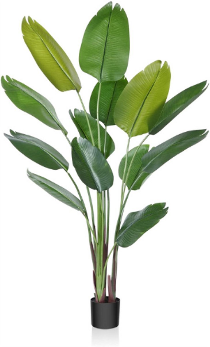 Thuys – Kunstmatige Paradijsvogelplant 180 Cm – Realistische Palmlook – Moderne Decoratie – Voor Huis, Kantoor Of Tuin