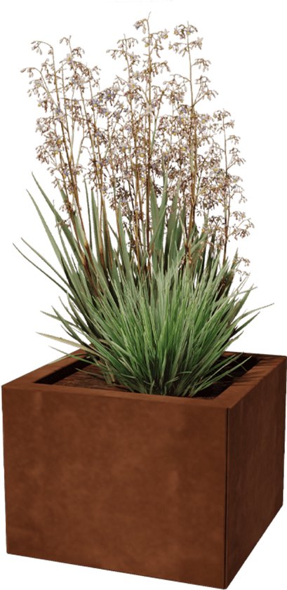 Vierkante plantenbak van roestkleurig cortenstaal met lange, grassige plant met bruine bloemen.