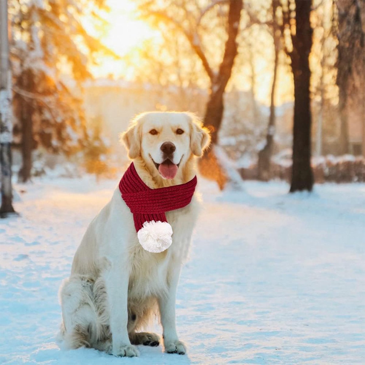 Nanou 2-delig Kerstkostuum Voor Honden En Katten – Met Muts En Sjaal, Verstelbaar, Rood, Maat M, Perfect Voor Kleine En Middelgrote Huisdieren