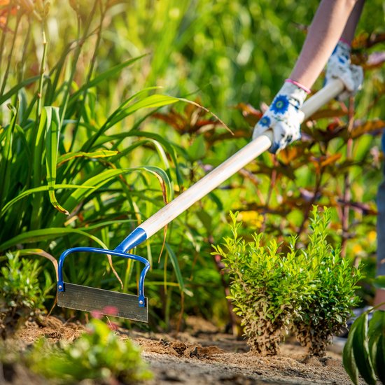 KADAX Tuinhak van metaal, haak met steel van hout, onkruidhaak voor het losmaken, luchten en wieden van de grond, tuinaccessoires voor het verwijderen van onkruid (W: 18 cm, dubbel) van Merkloos	 — afbeelding 4