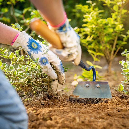 KADAX Tuinhak van metaal, hak met steel van hout, onkruidhaak voor het losmaken, luchten en wieden van de grond, tuinaccessoires voor het verwijderen van onkruid (W: 12 cm, trapeziumvorm, kort) van Merkloos	 — afbeelding 4