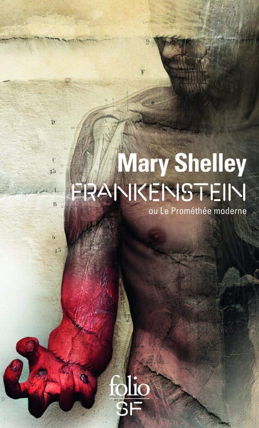 Frankenstein - cover
