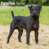 Patterdale Terrier Kalender 2026