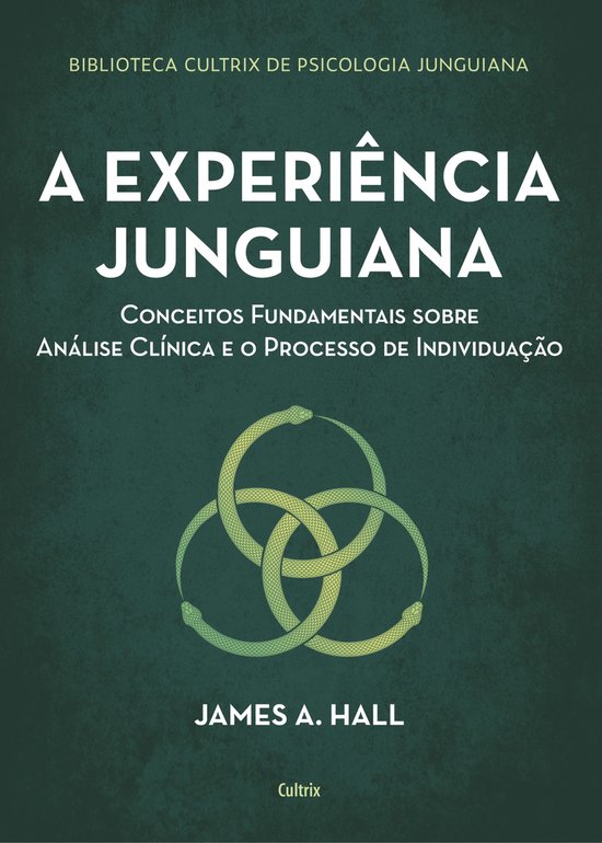 A experiência junguiana - cover