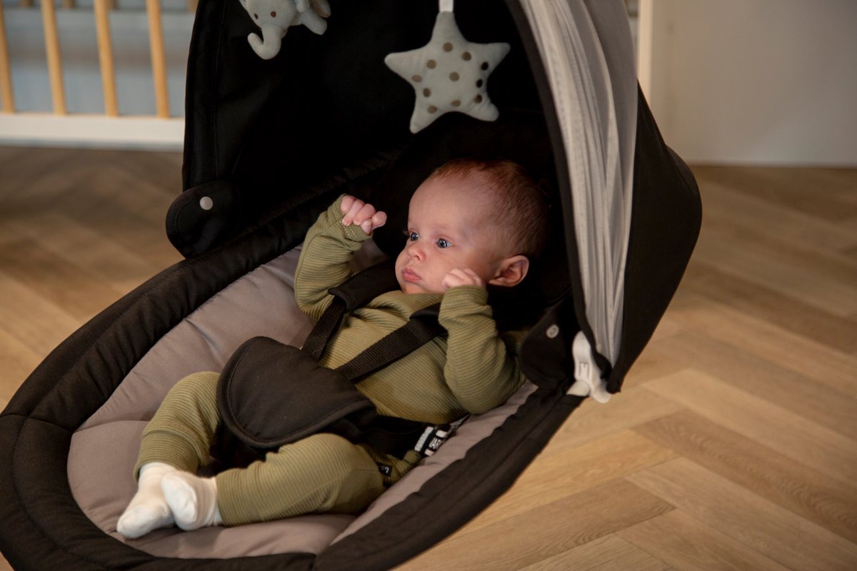 Ding Hugg Swing Babyschommel - Zwart - Draaibare babyswing - Met Muziek en Bluetooth — afbeelding 6