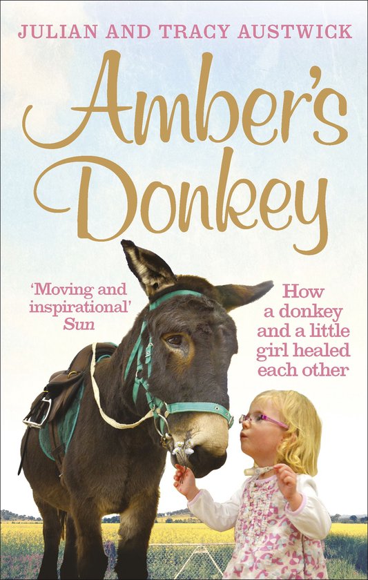 Amber's Donkey - cover