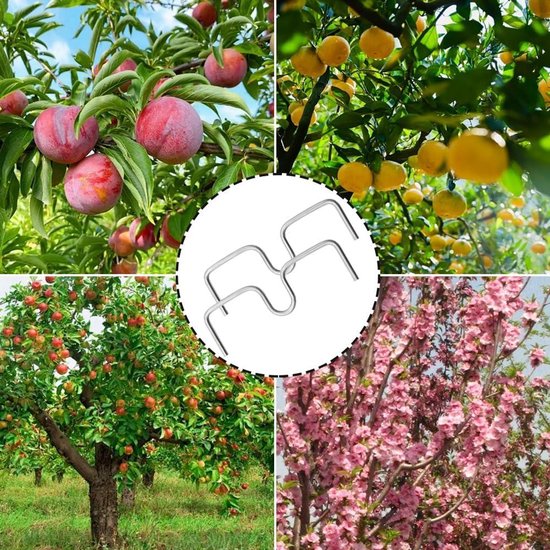 20 stuks M-vormige takkenschakelaars voor fruitbomen - takkenscheider voor het vormen