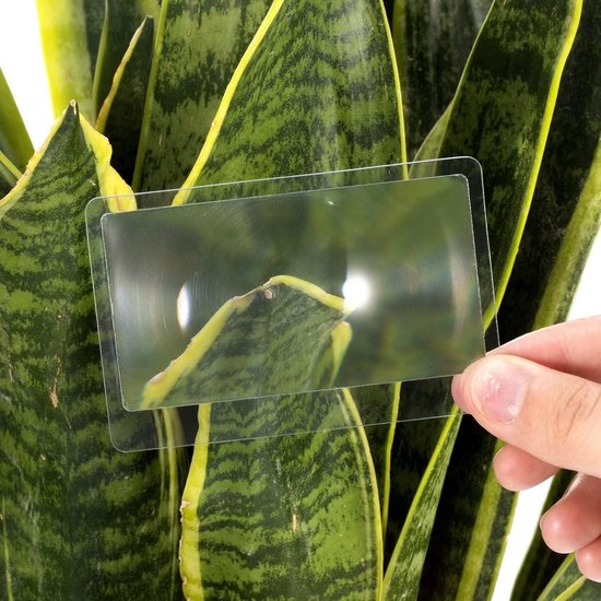 30 stuks draagbare mini-vergrotingslens van kunststof, kleine kunststof vergrotingslens, draagbare handloep van glas voor thuis, outdoor-verkenner