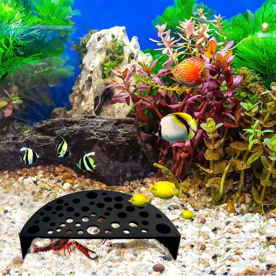 Neocaridina Garnalen Kopen - Ideaal voor Beginners
