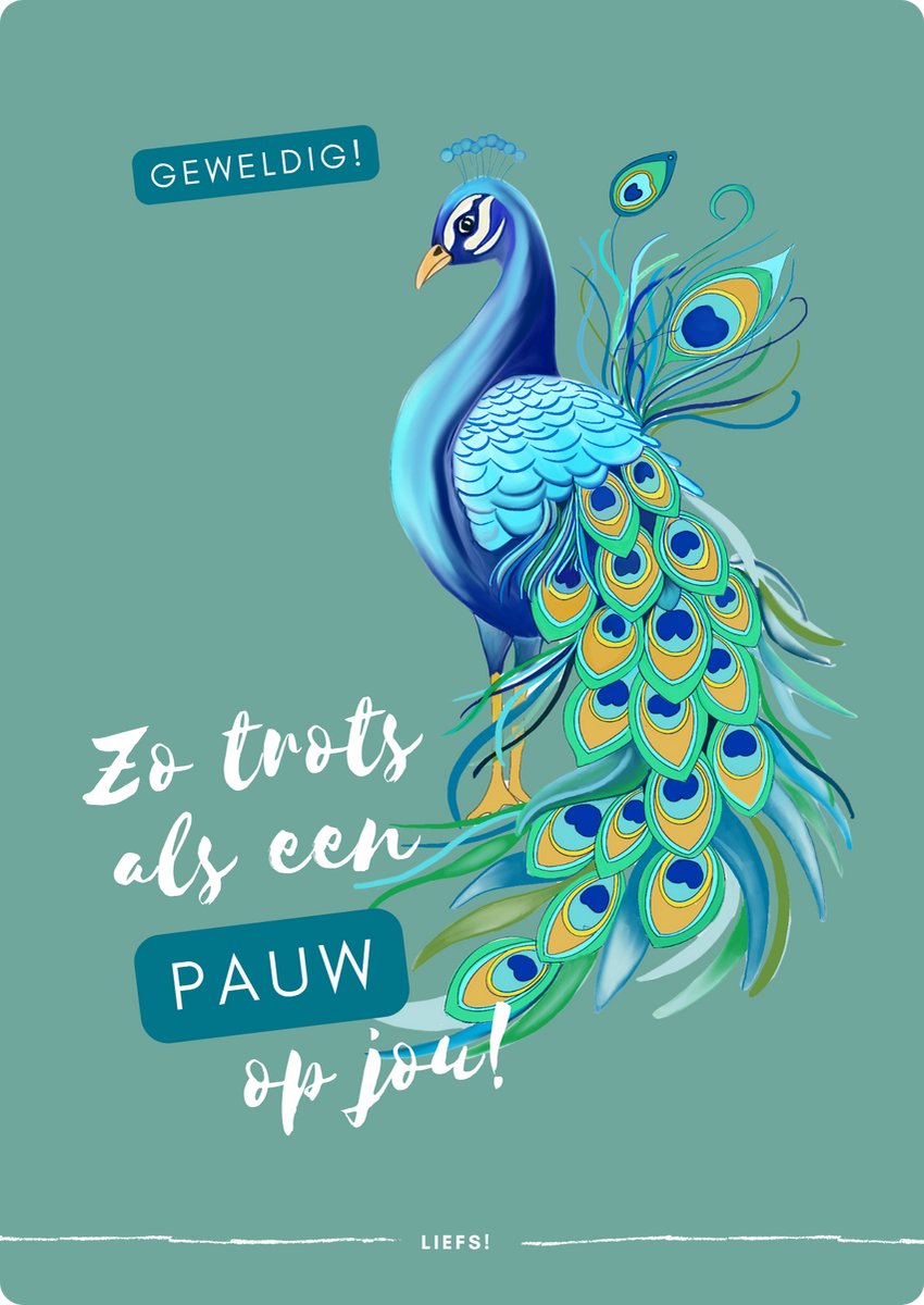 Originele Wenskaart – “Zo trots als een pauw” – Met Envelop – Studio Spreekwoord