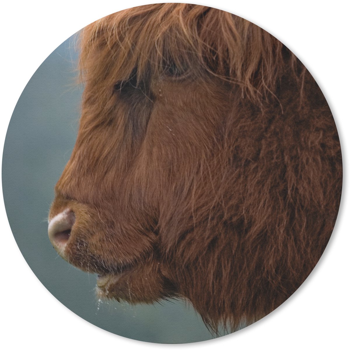 Muismat rond 40x40 cm - Mousepad Schotse Hooglander - Dieren - Mist - Ronde muismatten