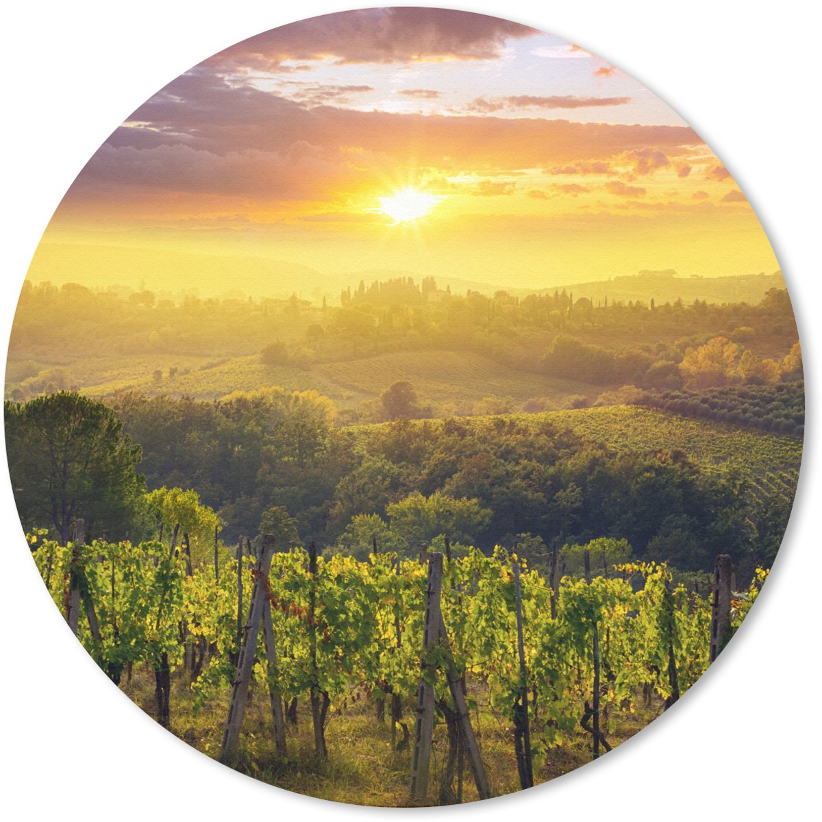 Muismat rond 40x40 cm - Mousepad Toscane - Italië - Druivenbomen - Ronde muismatten