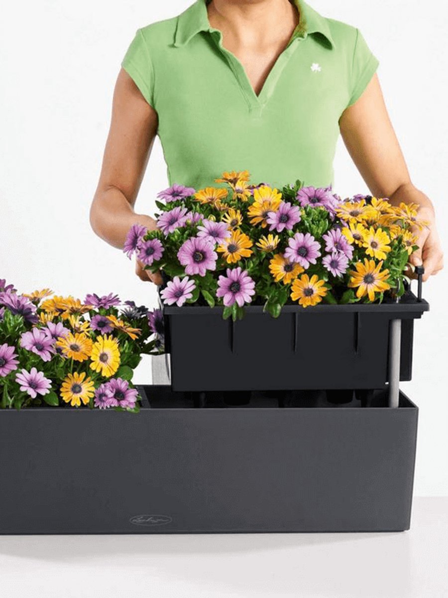 Lechuza Balconera Color 80 - Jardinière - avec pot intérieur amovible
