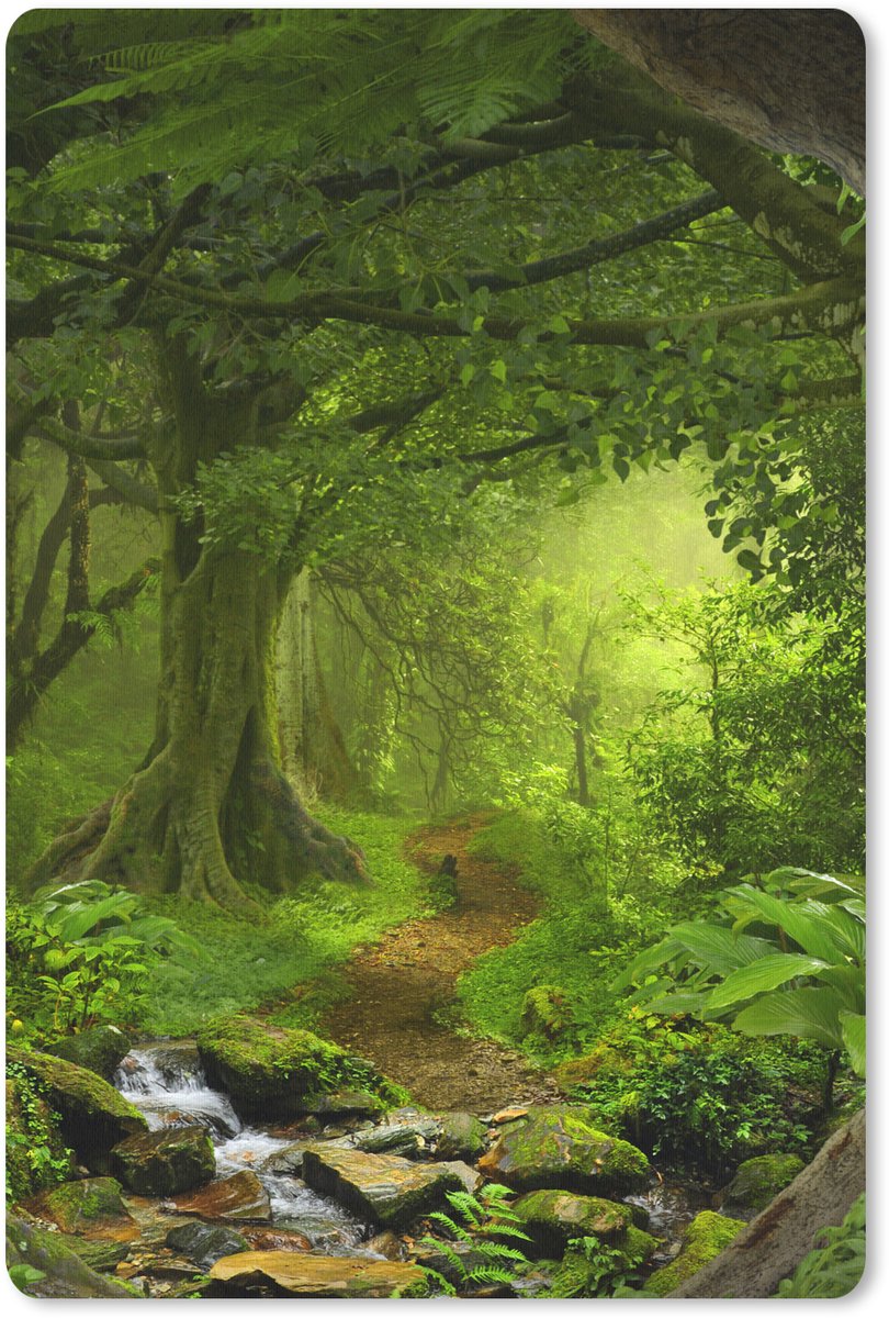 Muismat 18x27 cm - Mousepad Jungle - Water - Azië - Jongens - Meiden - Kind - Muismatten