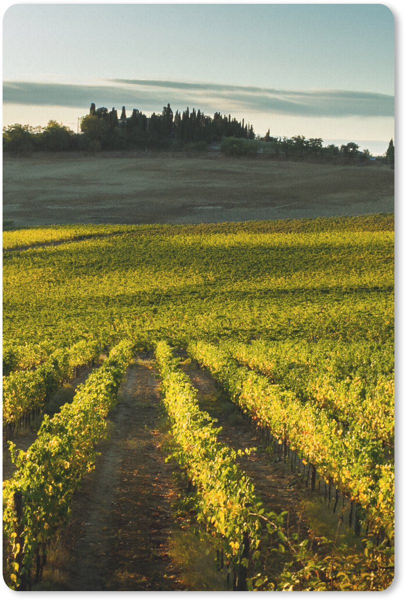 Muismat 18x27 cm - Mousepad Toscane - Landschap - Wijn - Muismatten