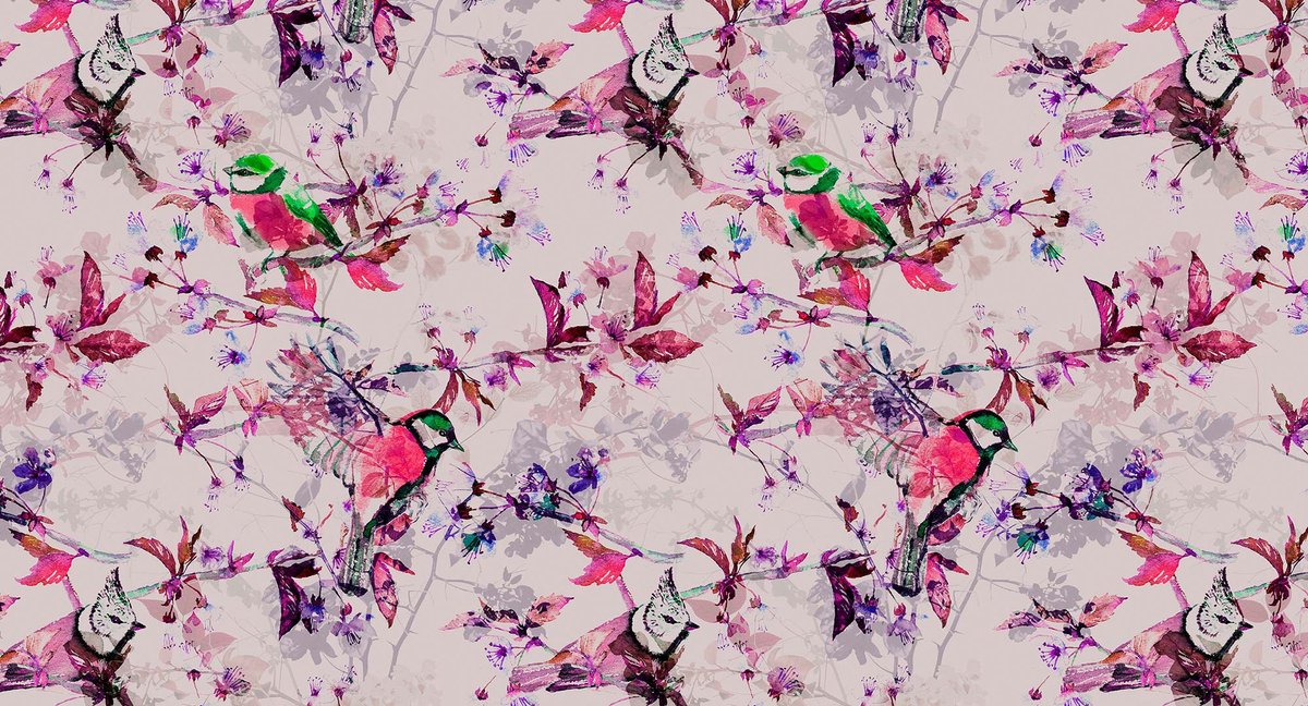 Behang walls by patel songbirds 1