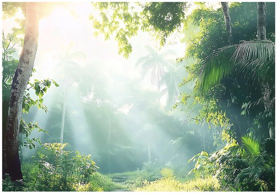 WALLARENA - Fotobehang - 350x250 cm - Fototapet van een bos met bomen, natuur voor slaapkamer en salon, vliesbehang