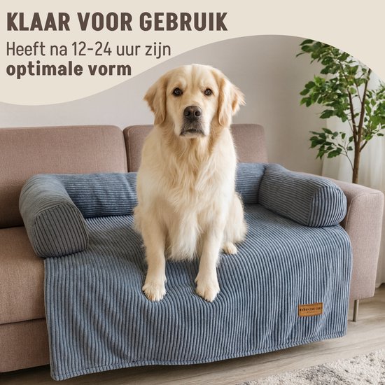 Gouden retriever zit op een grijze hondenbank van ribstof, op een bank. Klaar voor gebruik.