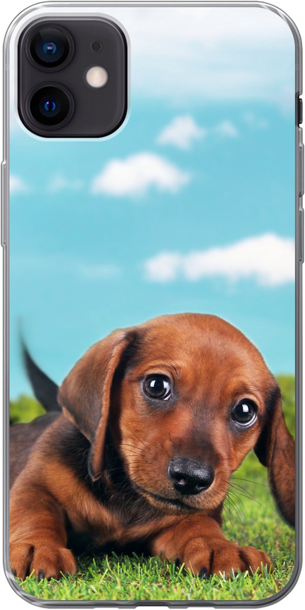 Telefoonhoesje Geschikt voor iPhone 12 mini hoesje - Prachtige lucht boven een schattige Teckel puppy - Siliconen Telefoonhoesje Telefoonhoesje