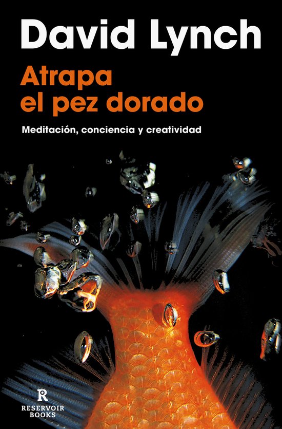 Atrapa el pez dorado / Catching The Big Fish - cover