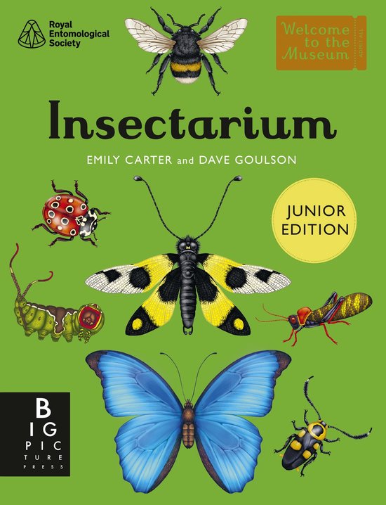 Boekomslag Insectarium Junior Edition, met een blauwe vlinder, gele mot, lieveheersbeestje, rups, hommel, sprinkhaan en kever.