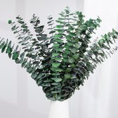 JYCAR 6 STKS Kunstmatige Olijfbladeren Takken, Faux Groen Accent Bloemen Arrangement Groen Decoratie Nep Planten Groene Bladeren Tak voor DIY Bruiloft Party Home Decor JYCAR 6 STKS Kunstmatige Olijfbladeren Takken, Faux Groen Accent Bloemen Arrangement Groen Decoratie Nep Planten Groene Bladeren Tak voor DIY Bruiloft Party Home Decor