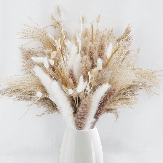 Gedroogde bloemen – Fioreutrecht