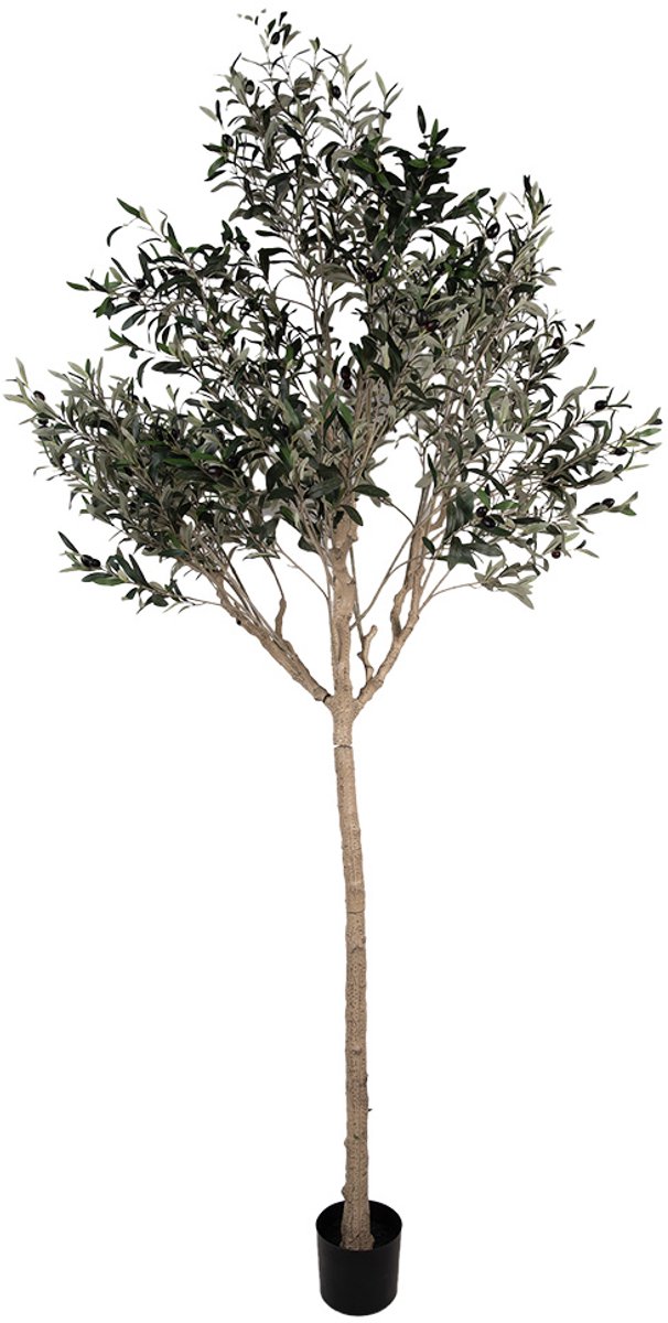 Kunst Olijfboom 240 cm Groen Kunststof