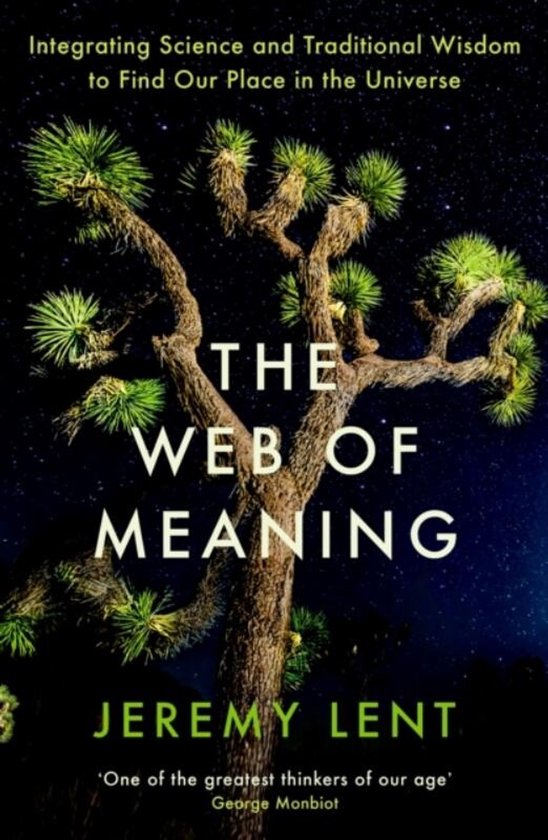 The Web of Meaning - cover
