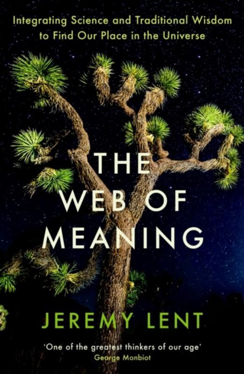 Omslag van The Web of Meaning