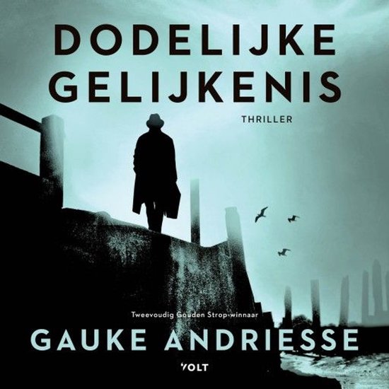 Dodelijke gelijkenis - cover