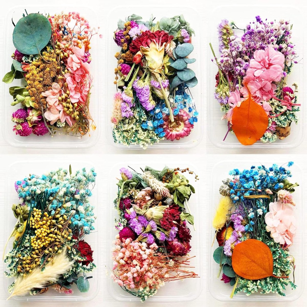 Allecto Plus - Natuurlijke gedroogde bloemen bladeren voor zakken ornamenten - 2 stuks assorti