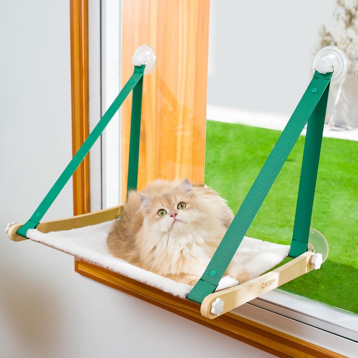 Brede kattenhangmat - stevig en veilig - 1 stuk - groen - hout en roestvrij staal