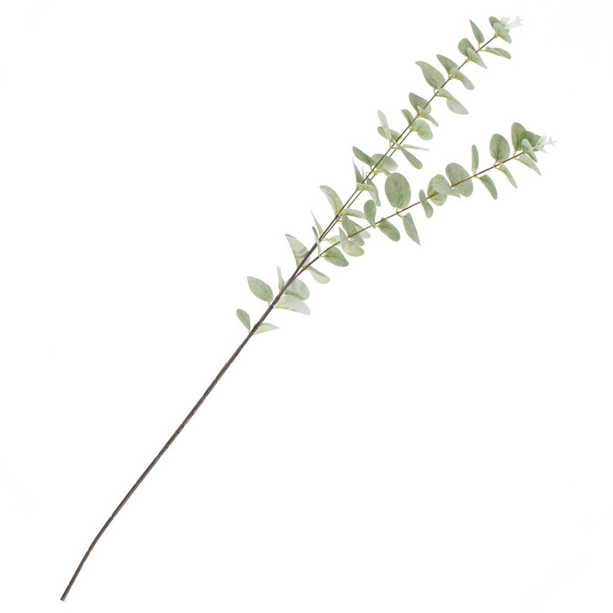 homebound by ky Kunstbloem eucalyptus groen