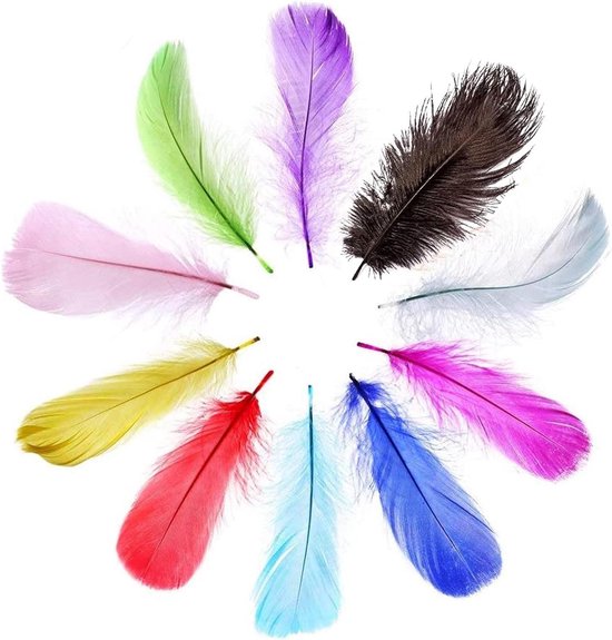 Prachtige crèmewitte decoratieve veer struisvogelveren wit 20-25cm 12 stuks