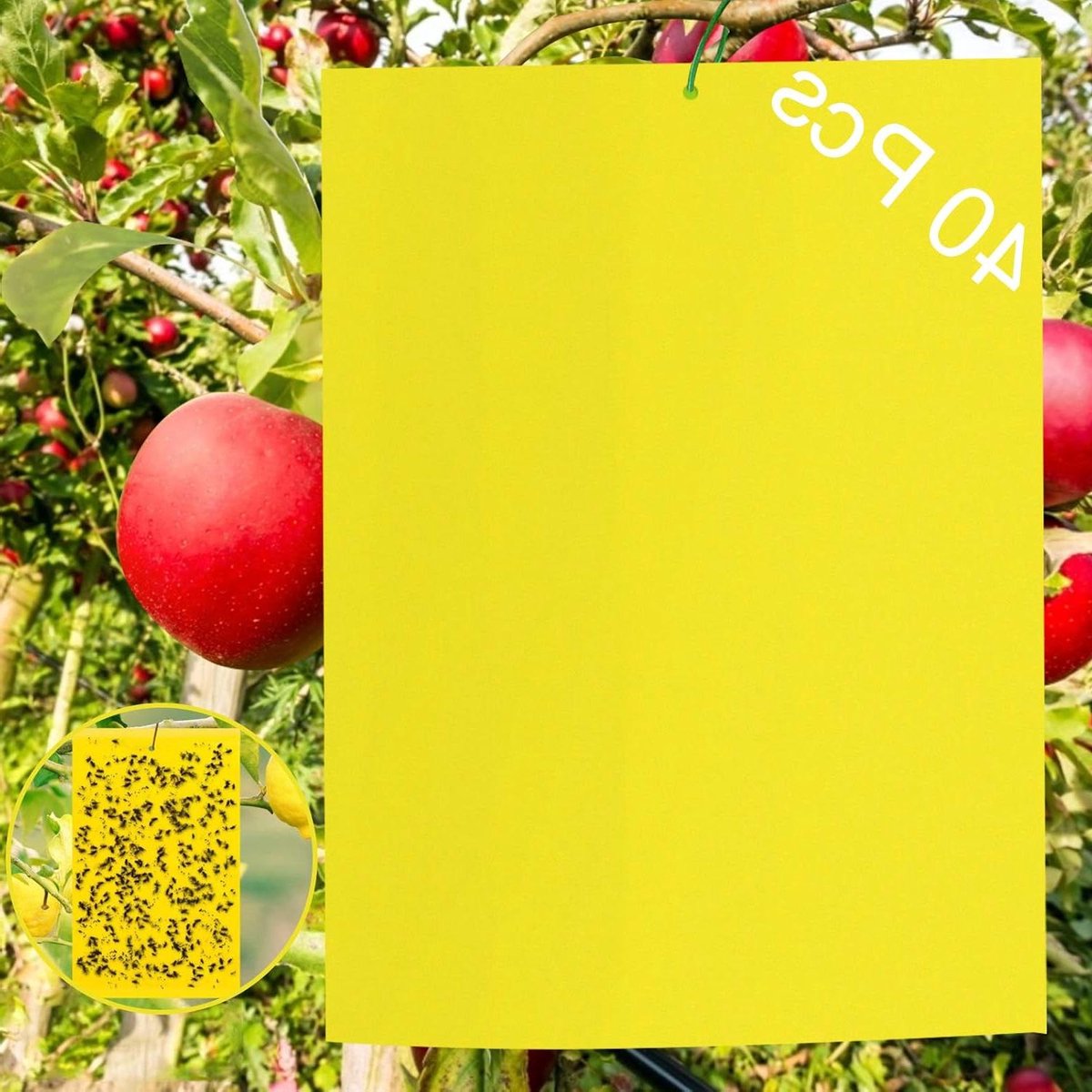 Gele Insectenval stickers 40 stuks - vang Cherry - Bestrijding - Aphids Nematodes - Wittevlieg - Bladluis vangers