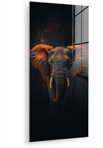 20 cm x 40 cm