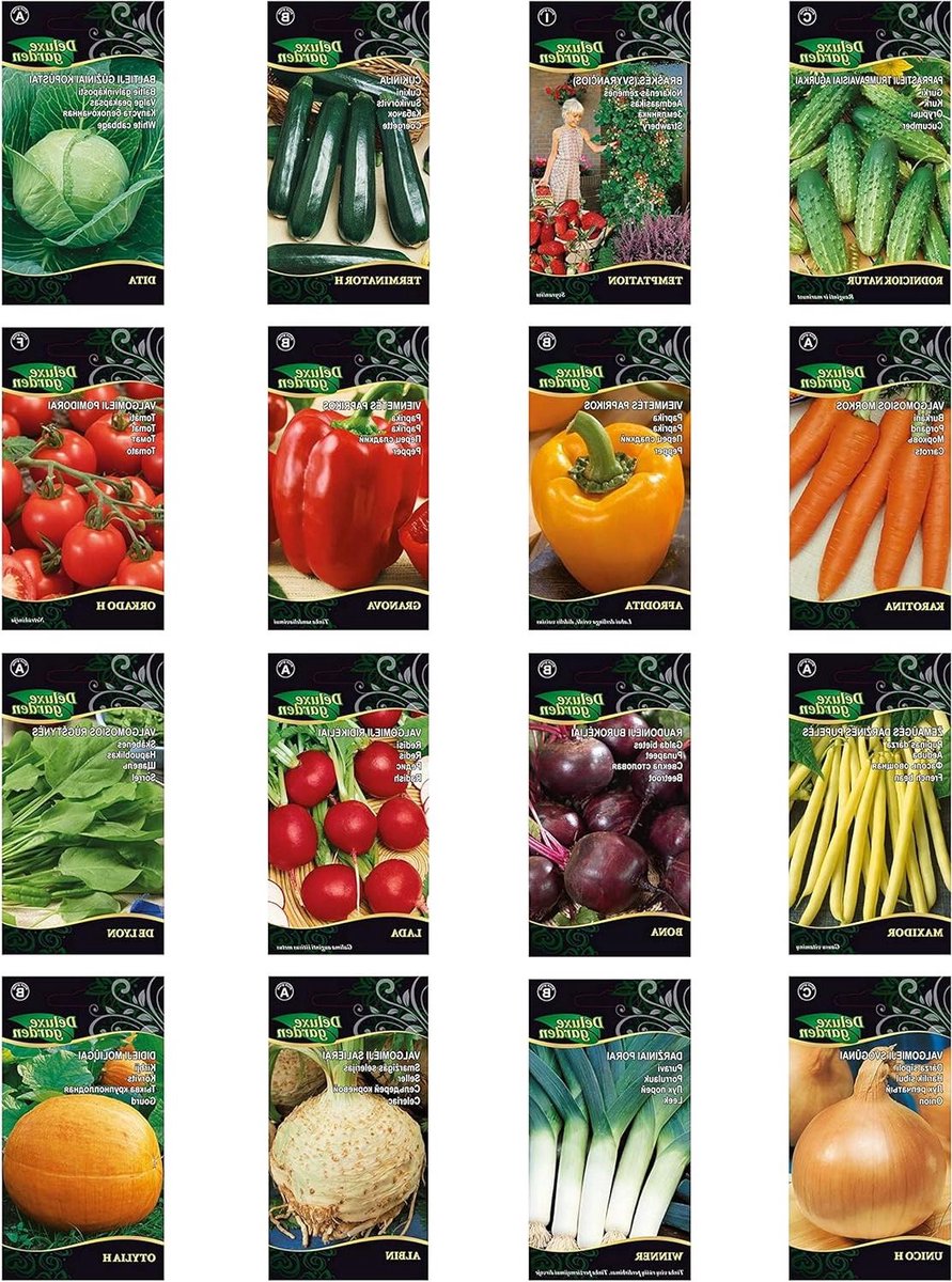 Groentezaad Set - 16 Pakjes - Verschillende Plantzaad Starterkit - Biologisch Tuinzaad Planten - 16 Soorten - Zaadbox
