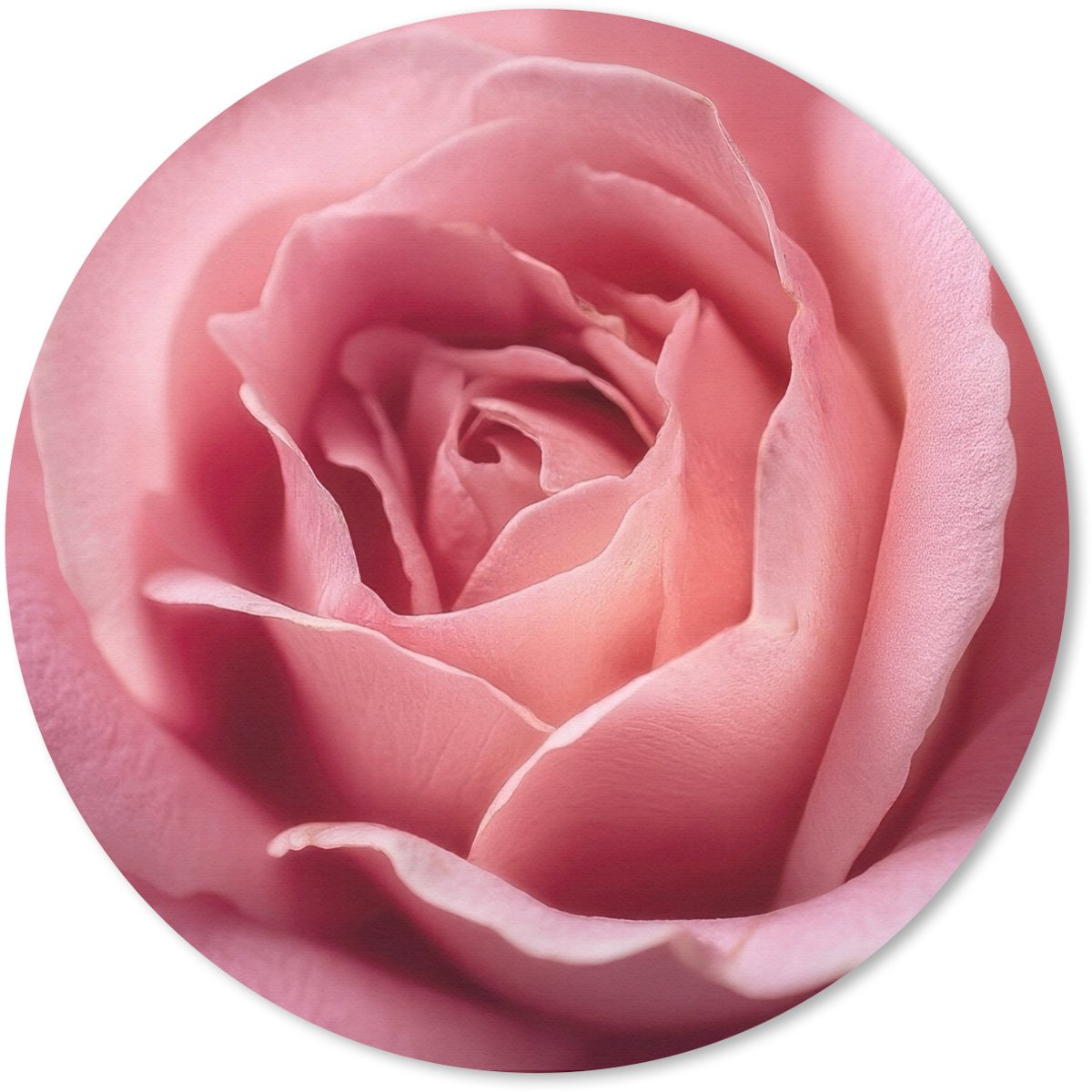 Muismat rond 30x30 cm - Mousepad Roze - Roos - Romantisch - Ronde muismatten
