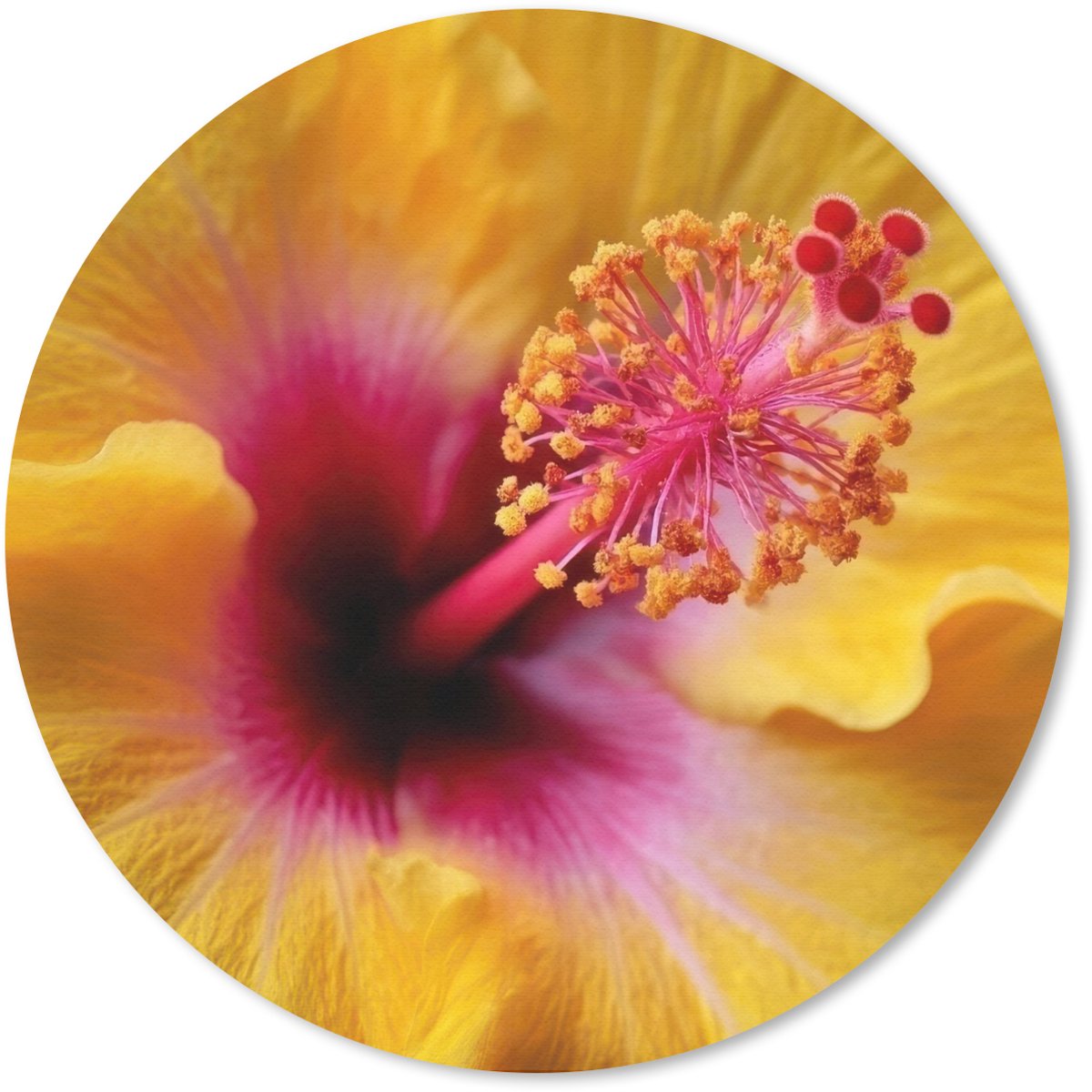 Muismat rond 30x30 cm - Mousepad Geel - Hibiscus - Tropisch - Ronde muismatten