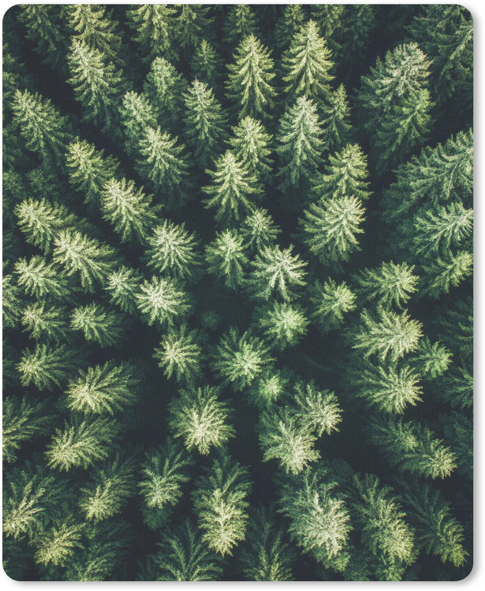 Muismat 19x23 cm - Mousepad Bomen - Naaldwoud - Structuur - Muismatten