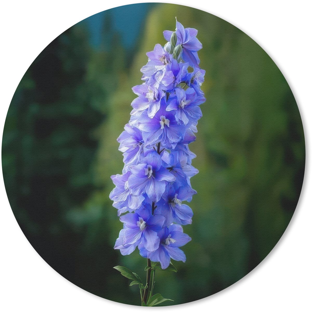 Muismat rond 30x30 cm - Mousepad Bloemen - Blauw - Dennenboom - Ronde muismatten